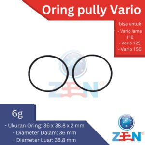 ORING PULLY VARIO